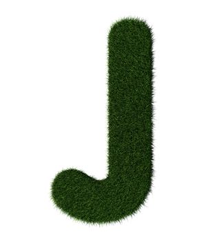 Letter J made with blades of grass