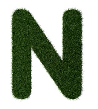 Letter N made with blades of grass