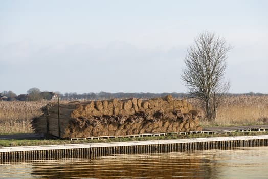 bundles of rural straw near the river ready for transport to the thatchers in Holland