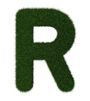 Letter R made with blades of grass