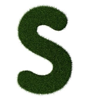 Letter S made with blades of grass