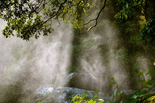 Backlit water spray from a waterfall in a forest