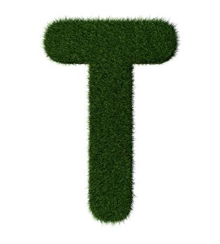 Letter T made with blades of grass