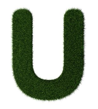 Letter U made with blades of grass