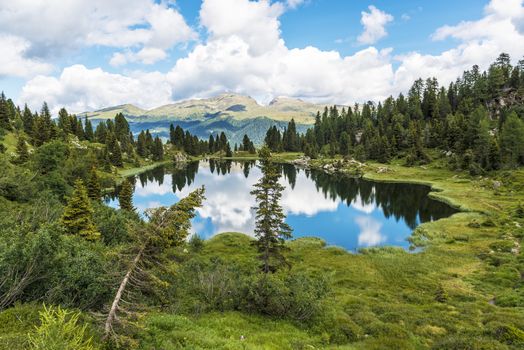 Small lake of Colbricon near Rolle Pass, Dolomites - Trentino, Italy