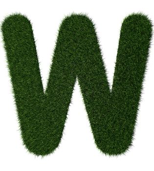 Letter W made with blades of grass