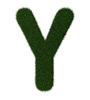 Letter Y made with blades of grass