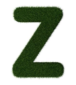 Letter Z made with blades of grass