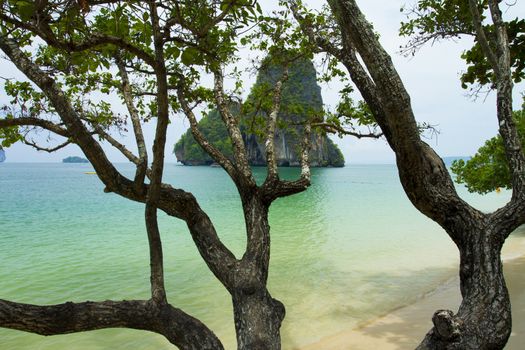 rocks on Railay beach in Krabi Thailand