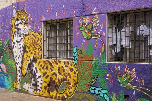 Colourful murals decorating buildings in the coastal city of Valparaiso in Chile. Graffiti is common in Chilean cities such as Valparaiso and is very much part of the culture and heritage of what is now also a UNESCO World Heritage Site.