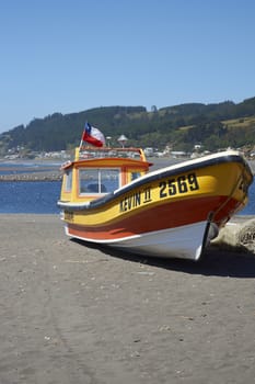 Colourfully painted wooden fishing boats drawn up on the on the beach in the small coastal town of Curanipe in Maule, Chile. The boats are pulled or pushed in and out of the sea using tractors.