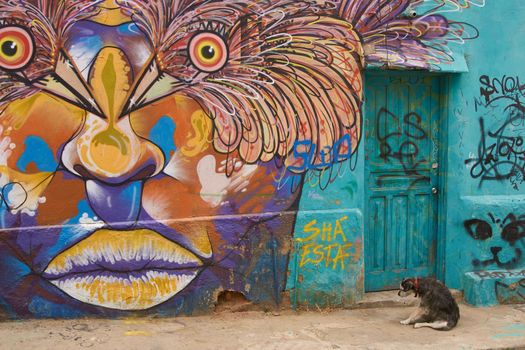 Colourful murals decorating buildings in the coastal city of Valparaiso in Chile. Graffiti is common in Chilean cities such as Valparaiso and is very much part of the culture and heritage of what is now also a UNESCO World Heritage Site.