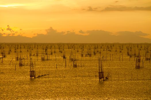 Fish coop farm in Songkhla Lake Thailand