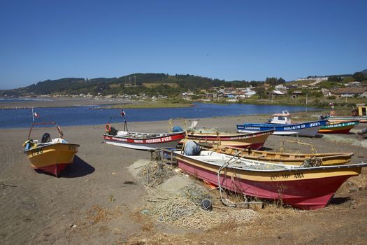 Colourfully painted wooden fishing boats drawn up on the on the beach in the small coastal town of Curanipe in Maule, Chile. The boats are pulled or pushed in and out of the sea using tractors.