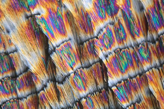 Vitamin B crystals under the microscope (magnification 80x and polarized light).