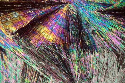 Vitamin B crystals under the microscope (magnification 80x and polarized light).