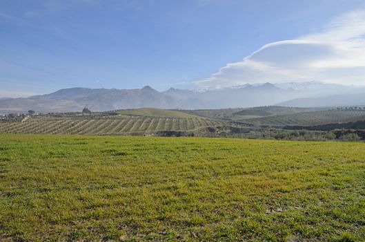 Snowy range seen from the countryside of Granada. It is a mountain range in the region of Andalusia, provinces of Granada in Spain and contains the highest point of continental Spain.