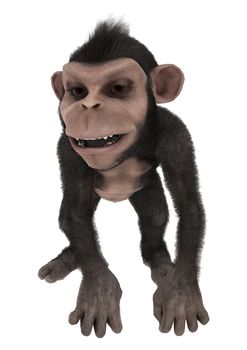 3D digital render of a cute little chimpanzee isolated on white background