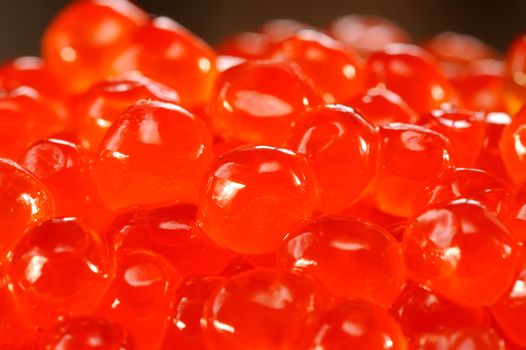 Red caviar close up macro