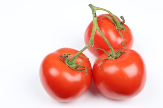 Fresh tomatoes on white background