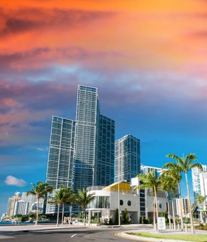 Sunset over Miami. City skyscrapers on a sunny day.