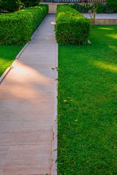 green lawn and beautiful track in the yard