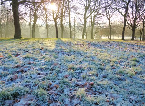 A landscape image, taken on a cold frosty morning in December.
