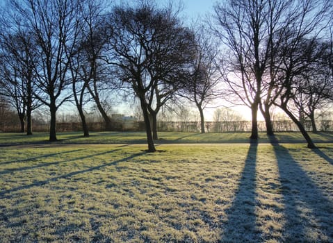 An image of Winter sun in a cold frosty landscape.