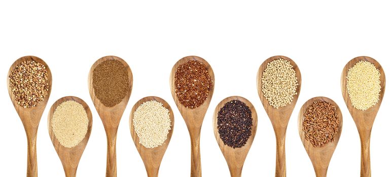 a variety of gluten free grains (buckwheat, amaranth, brown rice, millet, sorghum, teff, black, red and white quinoa) on wooden spoons isolated on white