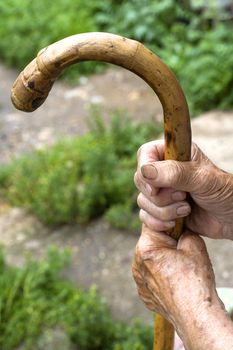hands of an old peasant woman holding a walking stick