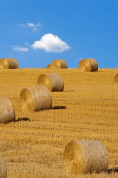 field with bales of hay, blue sky, bohemia, czech republic