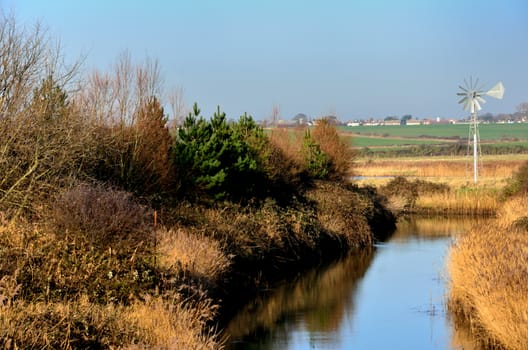 autum scene in essex