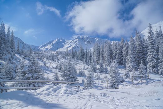 Idyllic white winter in mountains of Slovakia