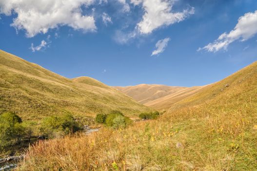 Scenic valley in green grasslands in Kyrgyzstan