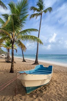 Caribbean sunrise on sandy beach with palm trees and boat