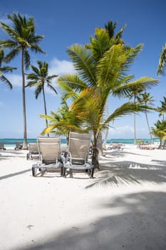 Caribbean sand beach with palm trees and sunbeds in the Dominican Republic