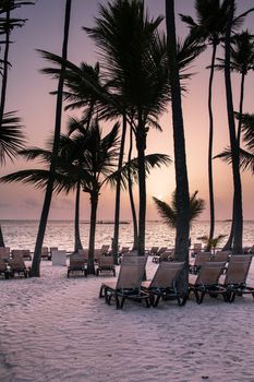 Caribbean Beach with sunbeds and palm trees at sunrise