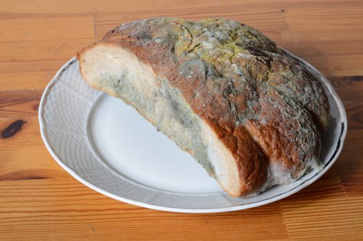 moldy bread