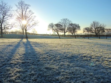An image of a cold frosty landscape.