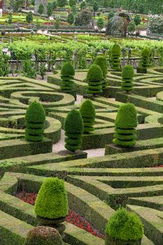 Gardens and Chateau de Villandry  in  Loire Valley in France 