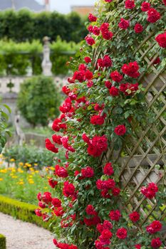 Gardens and Chateau de Villandry  in  Loire Valley in France 