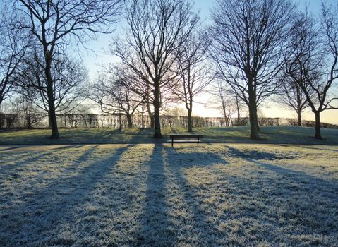 An image of Winter sun, taken on a cold frosty morning in December.