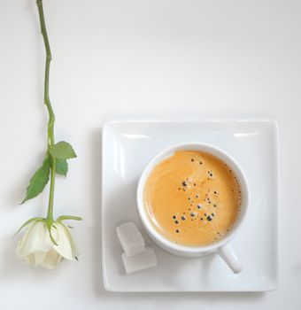 Top view of  coffee cup with white rose