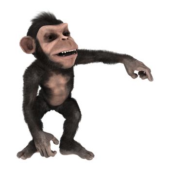 3D digital render of a cute little chimpanzee isolated on white background