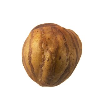 Single whole shelled hazelnut isolated on white