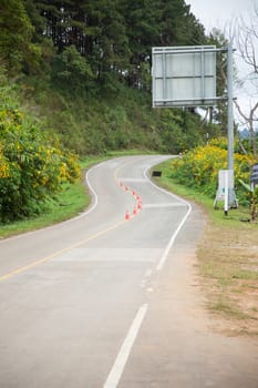 curve of the road. With flowering trees on either side.