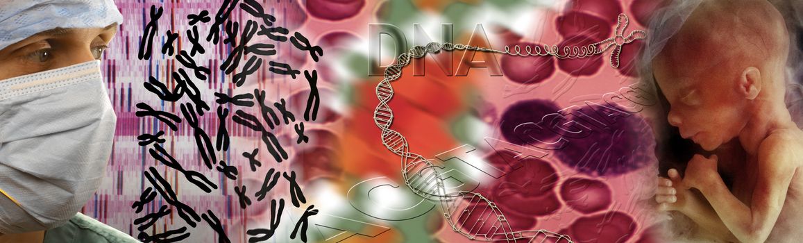 Genetics - DNA, DNA Mapping, Chromosomes, and a Human Fetus