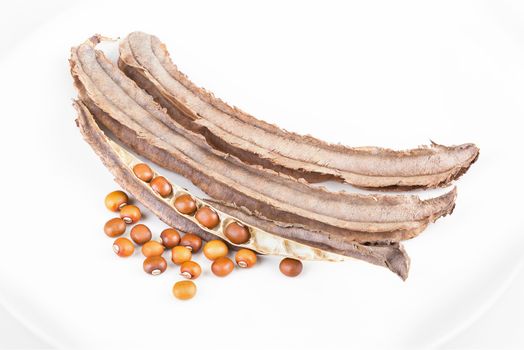 dried Winged Bean seed and bean pod on white dish