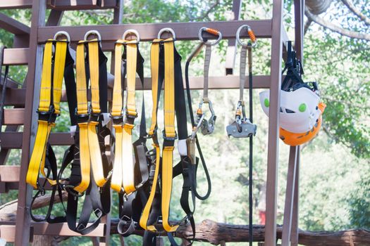 Safety equipments for climbing tree, stock photo