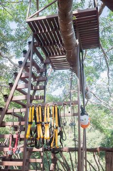 Safety equipments for climbing tree, stock photo